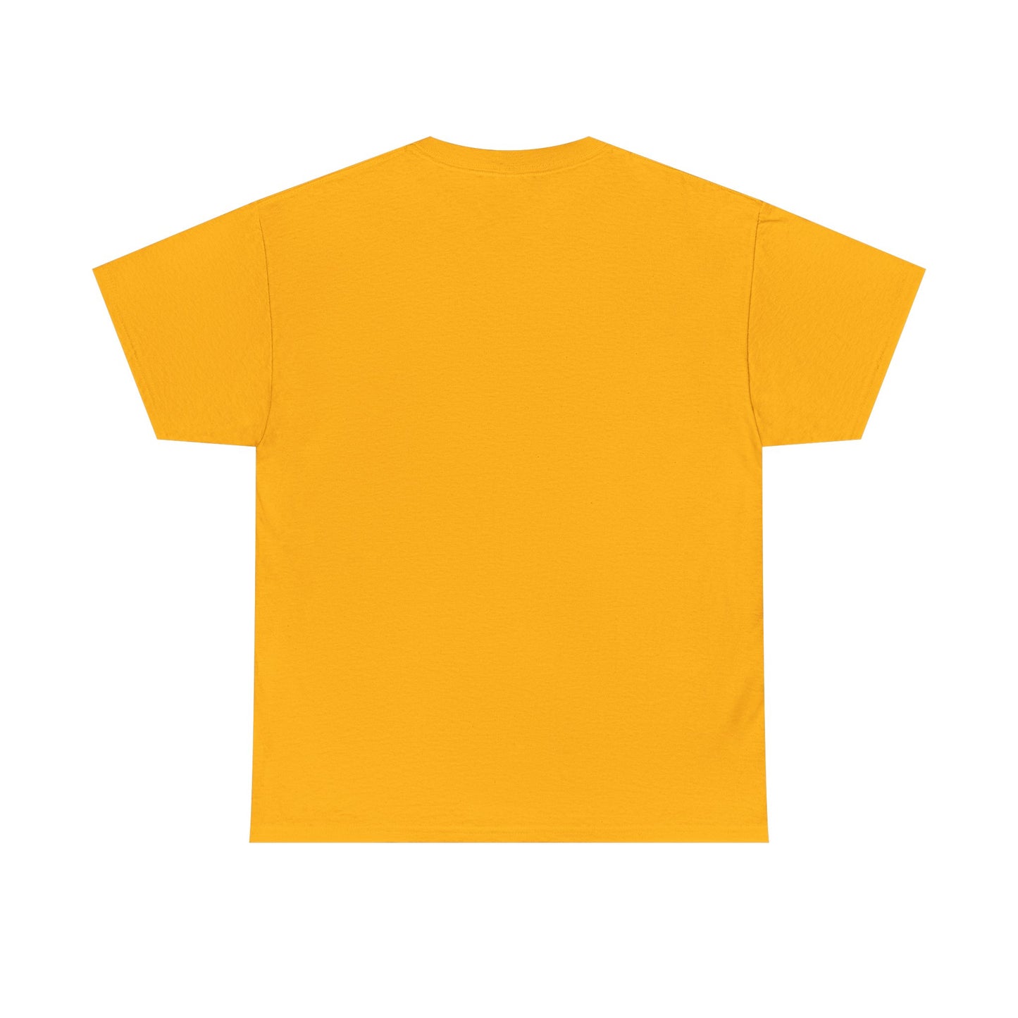 Error 404 Tee, Graphic T-Shirt, Computer Programmer Gift, Funny Coding Shirt, IT Tech Top