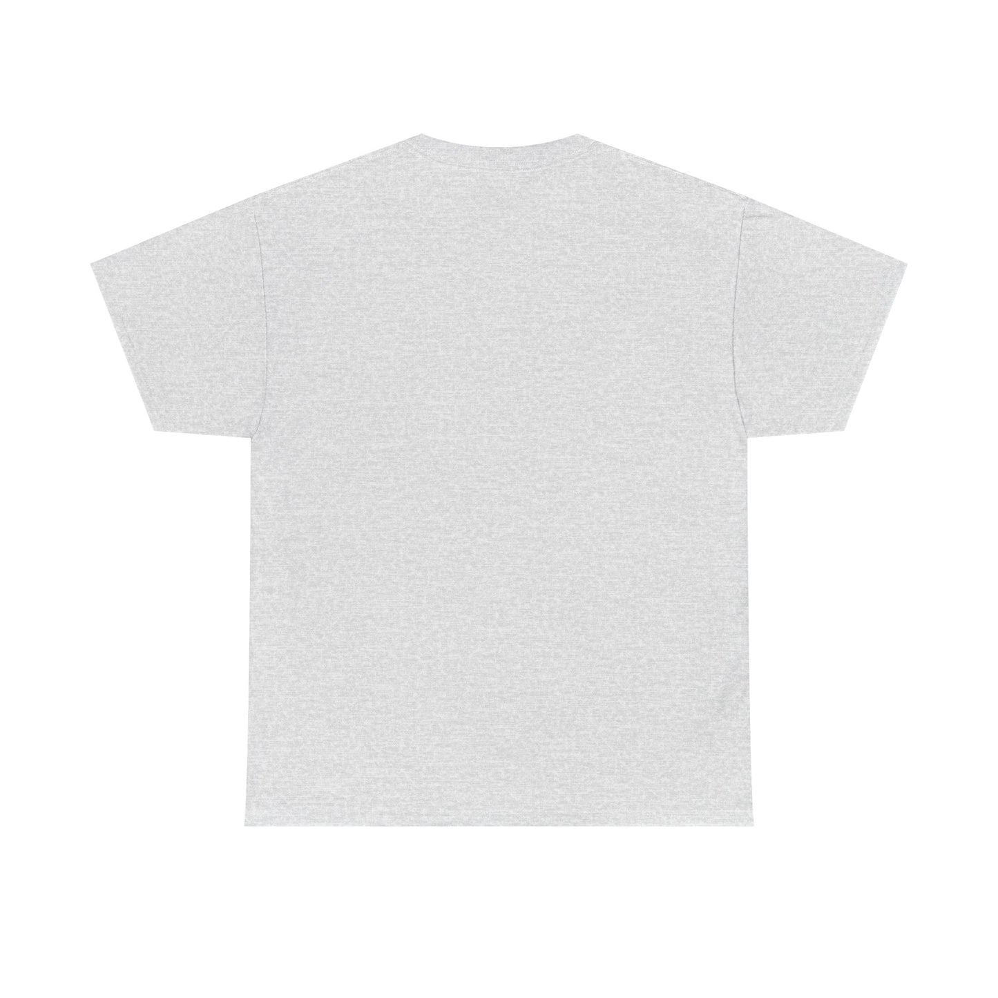 Error 404 Tee, Graphic T-Shirt, Computer Programmer Gift, Funny Coding Shirt, IT Tech Top